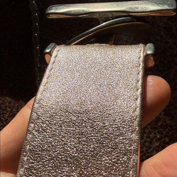 Suzi Roher Canadian Shimmering Silver heavy metal Belt main image 7